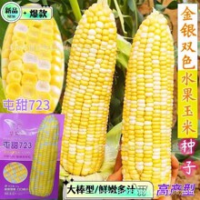 ˮ�����׷N�����N�߮a�s����Ʒ��Ŵ�N��������������߲˷N�Ѵ�ȫ