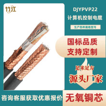 國標DJYPVP22計算機控制電纜多芯銅網編織信號屏蔽電纜KVVP/RVVP