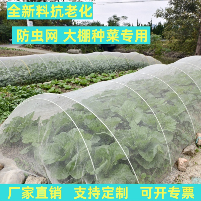 种菜防虫网菜地专用防鸟纱网樱桃防鸟罩大棚蔬菜农用防鸟用网加密