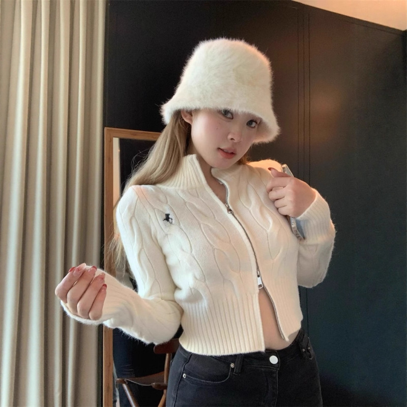 Korean Retro Twisted Cable Stand Collar Sweater Jacket for Women, Autumn Age-Reducing Chic Embroidered Knit Cardigan, College Style Top Korean Retro Twisted Cable Stand Collar Sweater Jacket for Women, Autumn Age-Reducing Chic Embroidered Knit Cardigan, College Style Top