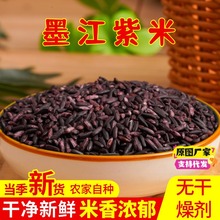 ���ī�����������r����ɫŴ����Ŵ�ןoȾɫ��ѪŴ�׺����خa���l