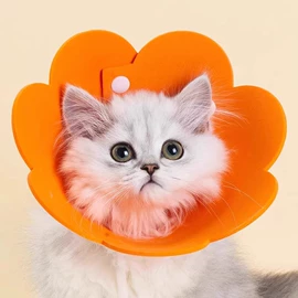 猫猫零食;猫猫玩具;猫猫窝/笼/垫