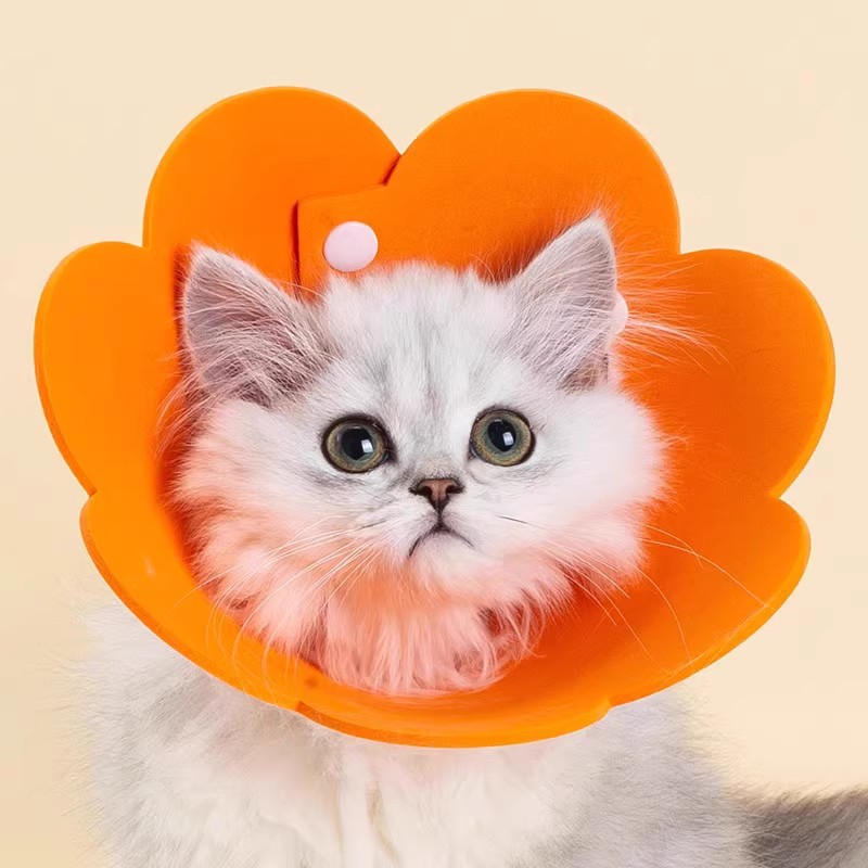 Collar de gato, anillo de Elizabeth, casco anti-lamiendo, perro, Yili Ilisa, collar de vergüenza, suministros para mascotas esterilizados