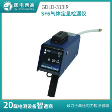 国电西高 GDLD-313IR SF6气体定量检漏仪 高灵敏度的定位和量化