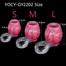 YOCY���ﮐ���ǽY��o�� ���z����ꖾ�����������������`������