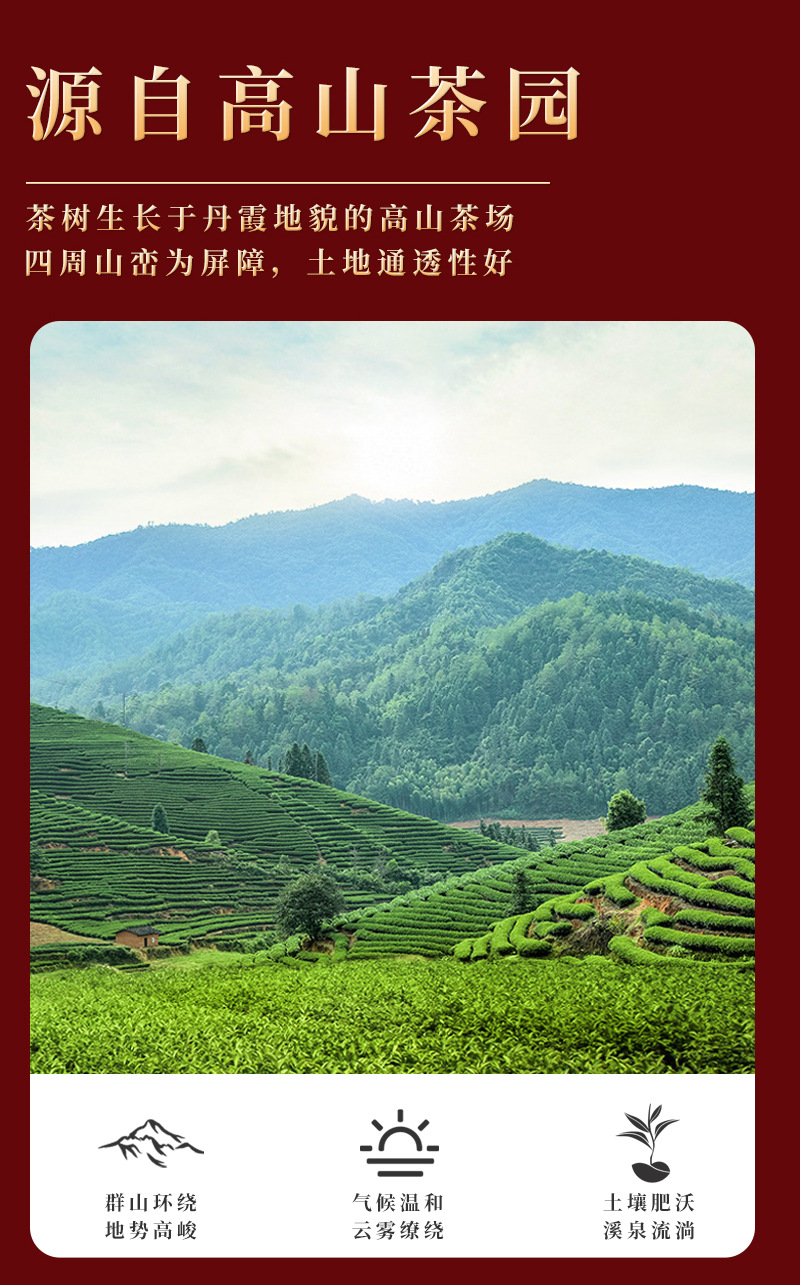 鸿运当头十大茗茶详情_07.jpg
