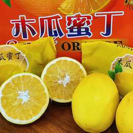 橙子台湾引种木瓜蜜丁橙福建平和种植新鲜现摘热带水果蜜丁橙多汁