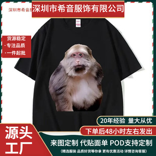 ��Ц���Ǻ��ӱ�����D��T����Ů��Ʒ�|T��͹ŕr������T�����^��