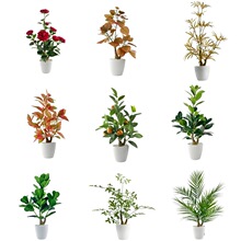 �����y���~ �S�Gɫ�~�� ���y�ӹ�ľ���쾰�Ƶ������ˇ�[�O�G�~