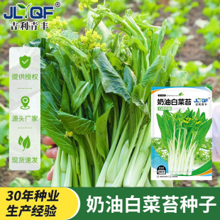 �ļ����Ͱײ�̦�N�Ӳ��ķN���r����@�˵������׷Nֲ�߲˷N�Ӵ�ȫ