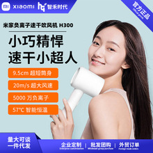 ׼ؓxٸɴLCH300ٸolL늴Laol