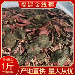 福建省産の生きたオタネノキの葉をまとめて卸売、林下乾燥品、紅霞漢方健康茶
