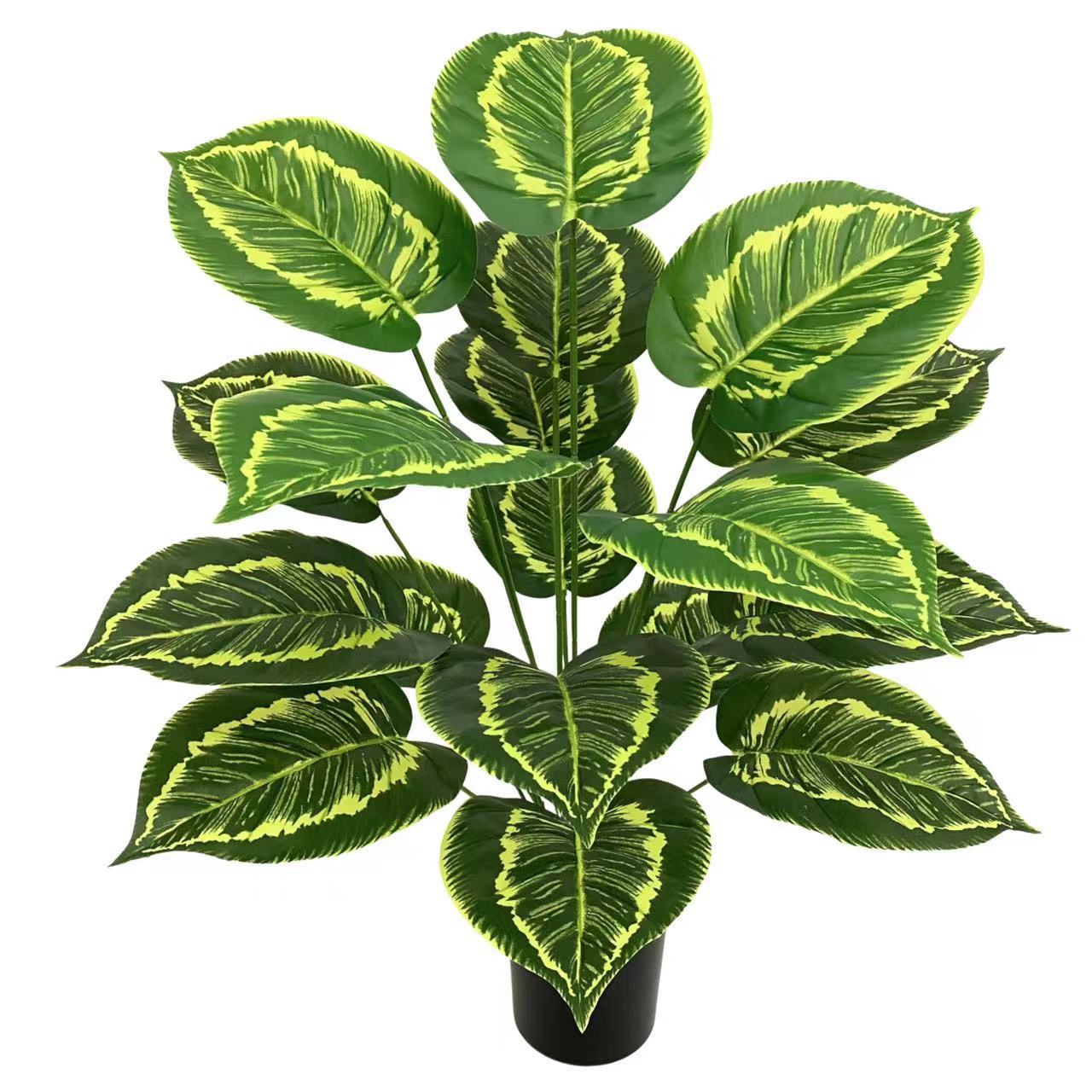 微信图片_20230129184439