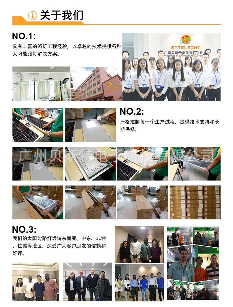 半分体S02_08.jpg