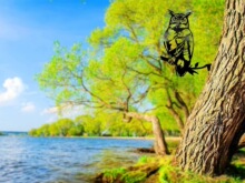 ǽ��ڻ�װ�����ձڹҿ�������������Ʒǽ����Լ�ִ��ҾӹҼ�