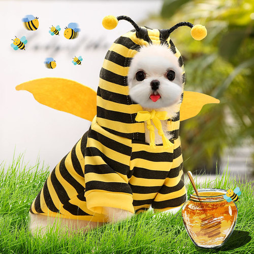 Turn chicks into dogs, cats, small and medium-sized dogs, autumn and winter fleece pet clothes and accessories, including Teddy, French Bulldog, and Bichon Frise.