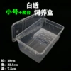Small white transparent breeding box+climbing platform