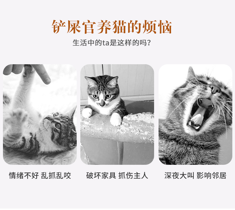 代发外贸宠物用品猫爬架猫窝猫抓板猫树猫咪用品宠物猫玩具太空舱详情2