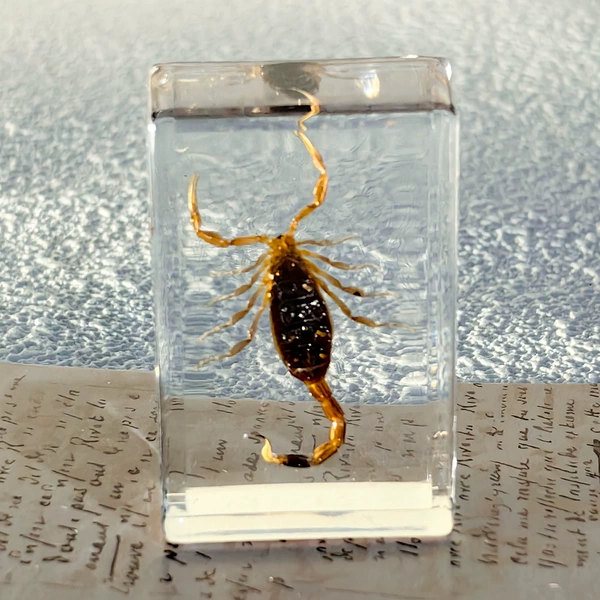 Golden scorpion