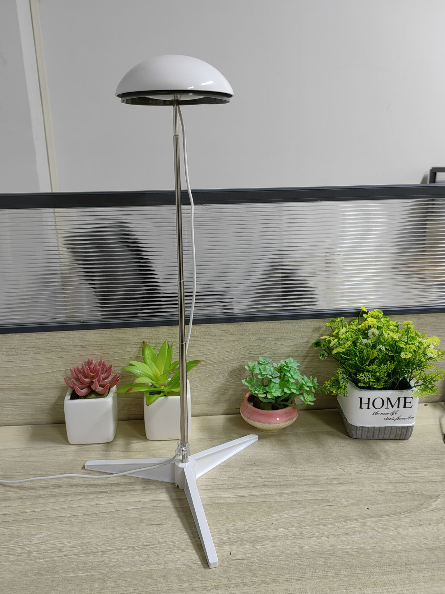 BEF29CFF617DDBAD9FC78E0960BCD3