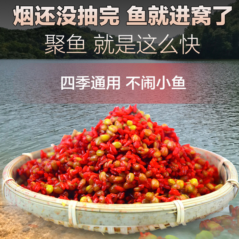 pesca silvestre carpa carpa granos de trigo trigo trigo maíz nido de arroz nido de cebo de pesca nido de fondo