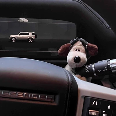 2025 New Model Car Turn Car ornaments - airplane-hat-dog-pocket-decoration