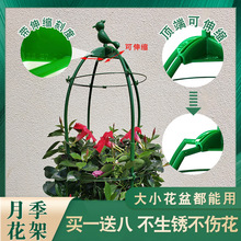 爬藤架花支架月季花架铁线莲撑杆架子玫瑰植物藤架固定支撑杆藤蔓