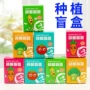 小学生幼儿园植物盆栽盒