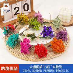 ミニ真花花束水晶草永生花飾りギフトボックスカード装飾DIY材料撮影道具卸売り