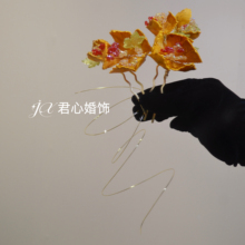 ?���ļ� I2�͹���ʽ��ɫ�~�z�廨�^��������P�ӳ������