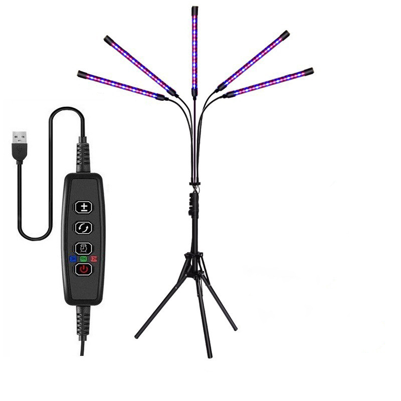 5개 헤드 - 1.6m 플로어 스탠딩 모델 - 타이밍 라인 제어