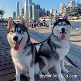 ���N��ʿ����w��Ȯ��ʿ�����ѻ���B����Ȯ��ʿ���{�۾���������