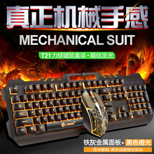 ���VT21�о��l������I�P������b �Cе�ָг��u�Α�̨ʽ�Pӛ��