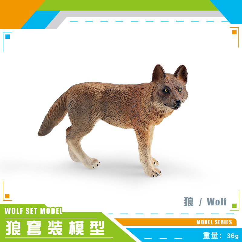 Lobo PL127-2351 36G