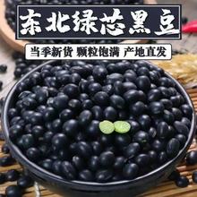 绿芯黑豆5斤 农家绿心黑豆小黑豆青仁乌豆打豆浆发豆芽五谷杂粮