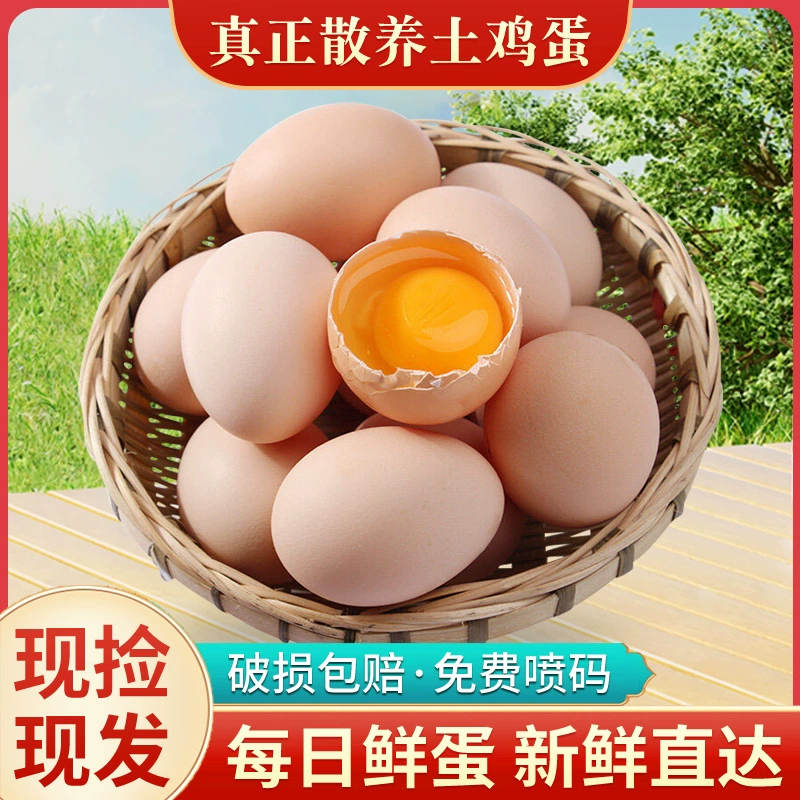 Настоящие свободно выращенные яйца с сельских ферм, естественно кормленные зерном, свежие послеродовые яйца и яйца новорожденных.