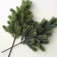 Temu ホット販売クロスボーダーアマゾン模擬松葉クリスマス結婚式の装飾模擬クリスマス偽松の枝緑植物