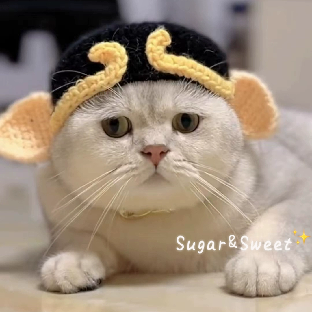 Забавный кот, свинья, восьмоголовая свинья, головной убор, милая шерстяная вязаная шапка для домашних животных, шляпа для переодевания, головной убор для собаки, Путешествие на Запад