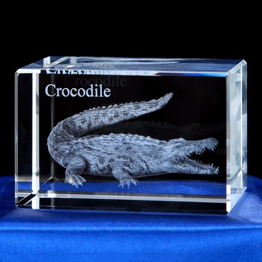 Pequeño puente 3D tallado interior adornos de cristal dinosaurio tortuga tigre águila modelo animal recuerdo del océano