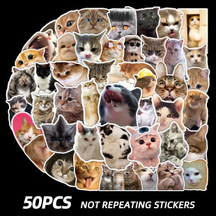 50 net red cat expression bag graffiti personality cross-border explosions hand account decoration skateboard cup luggage sticker