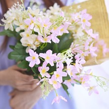 ���滨���m����@С�ջ����WС�ջ���ͥ�͏d�[����c�bzӰ����