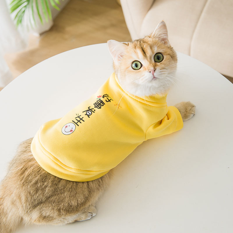 Ropa de mascotas buena cosa sucedió camiseta de terciopelo delgada para adultos gatos calientes gatos perros Teddy Yorkshire ropa al por mayor image 4