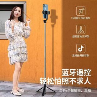 2025R1-L���ėU������_�������a���ֱ��֧�������ֳ���s�U���