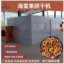 ���Ĺ���əC ���⺣�Ĺ���Ƭ�ɺ��t��������a�� ɳ���ɹ����淿