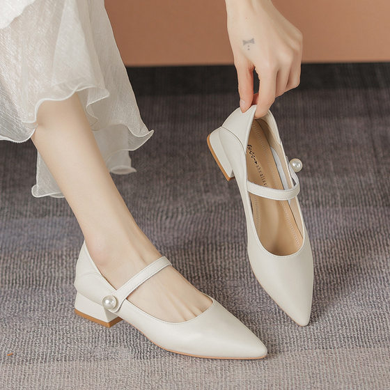 Pingdi factory black single-layer shoes women pointed toe chunky heel Mary Jane women's shoes Huizhou Yue Xinwang 2024 new high heels