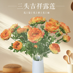 ���滨���^����¶ɏ���ٻ��������b��c�쾰�zӰ�@ˇ�bʺ�¶ɏ