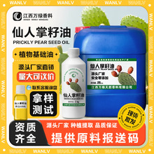 仙人掌籽油 厂家直供天然植物精油 冷压初榨提取基底油原料批发