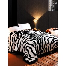 2026�r�а��R���y���᠖��ůë̺�Ӻ񴲆��p��ɺ���q��c�w̺�R��