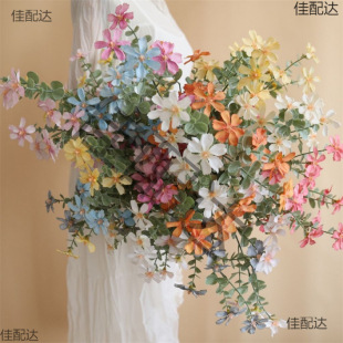 ��֦�ͮ�СҰ�����Ҿ��b�Ұ�����������ȼ�����˹�r����ʾ�