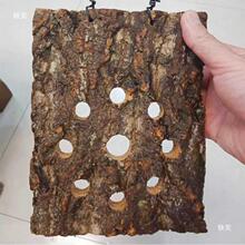 ¹ާܛľȻ㙉ƤùֲֵNֲ